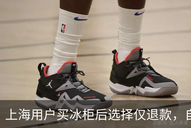 上海用户买冰柜后选择仅退款，自称冰柜"已销毁"无法退货，商家跨省索要后发现冰柜正插电使用，结局亮了