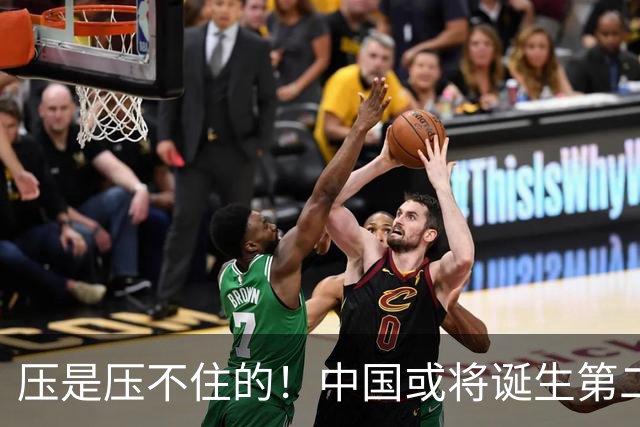 压是压不住的！中国或将诞生第二个华为